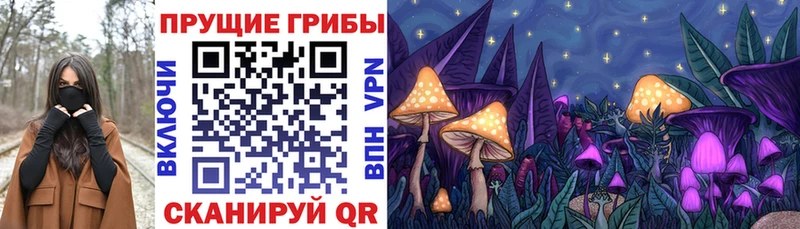 Галлюциногенные грибы Psilocybe  Купить где  Ликино-Дулёво 